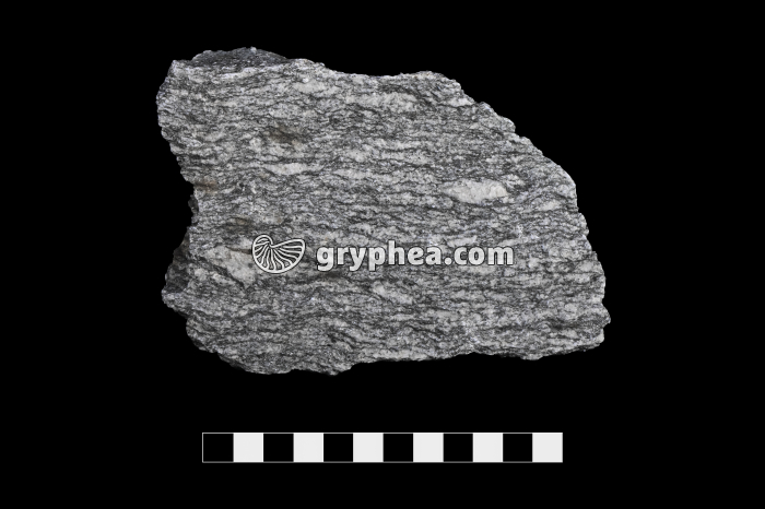 Gneiss (Emosson, Suisse) - échantillon - gryphea.com